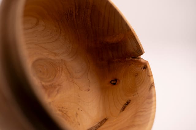 STOMA — foto 2